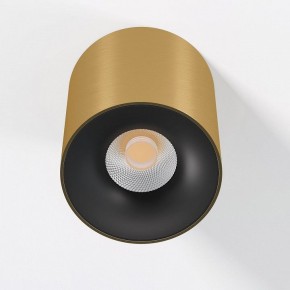 Накладной светильник Elektrostandard Primo 25116/LED в Воткинске - votkinsk.ok-mebel.com | фото 2