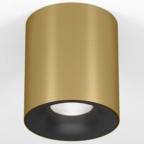 Накладной светильник Elektrostandard Primo 25116/LED в Воткинске - votkinsk.ok-mebel.com | фото 2