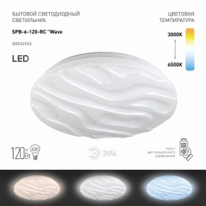 Накладной светильник Эра Классик SPB-6-120-RC Wave в Воткинске - votkinsk.ok-mebel.com | фото 2
