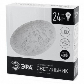 Накладной светильник Эра Классик SPB-6-24-4K (C) в Воткинске - votkinsk.ok-mebel.com | фото 4