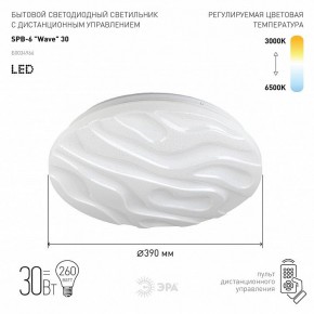 Накладной светильник Эра Классик SPB-6-30-RC Wave в Воткинске - votkinsk.ok-mebel.com | фото 2
