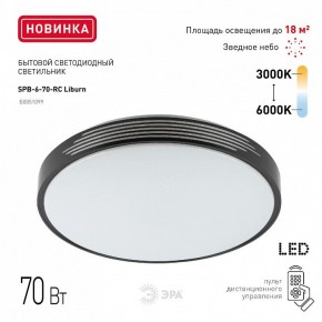 Накладной светильник Эра Классик SPB-6-70-RC Liburn в Воткинске - votkinsk.ok-mebel.com | фото 10