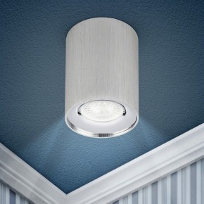 Накладной светильник Эра  OL1 GU10 SL/CH в Воткинске - votkinsk.ok-mebel.com | фото 3