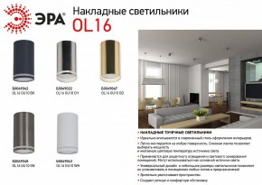 Накладной светильник Эра OL16 GU10 SN Б0049048 в Воткинске - votkinsk.ok-mebel.com | фото 2