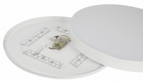 Накладной светильник Эра Relict Relict 48 Pult SPB-6-60-RC WH в Воткинске - votkinsk.ok-mebel.com | фото 11