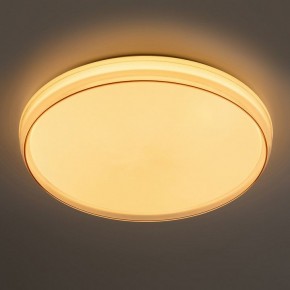 Накладной светильник Эра  SPB-6-80-RC Solar RGBD в Воткинске - votkinsk.ok-mebel.com | фото 2