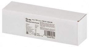 Накладной светильник Эра  TRM-S5-1-6W4K-WH в Воткинске - votkinsk.ok-mebel.com | фото 6
