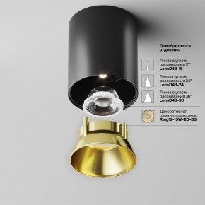 Накладной светильник Maytoni Alfa LED C064CL-12W4K-RD-B в Воткинске - votkinsk.ok-mebel.com | фото 3