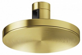 Накладной светильник Maytoni Plato TR152-1-7W4K-BS в Воткинске - votkinsk.ok-mebel.com | фото