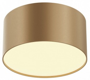 Накладной светильник Maytoni Zon C032CL-12W2.7K-RD-MG в Воткинске - votkinsk.ok-mebel.com | фото