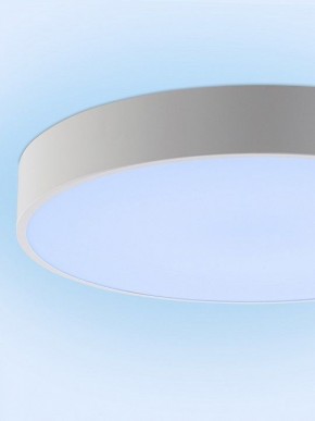 Накладной светильник Natali Kovaltseva MODERN LED LAMPS 81105/1C в Воткинске - votkinsk.ok-mebel.com | фото 11