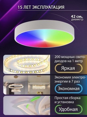 Накладной светильник Natali Kovaltseva MODERN LED LAMPS 81105/1C в Воткинске - votkinsk.ok-mebel.com | фото 6