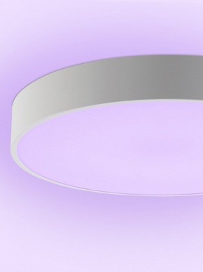 Накладной светильник Natali Kovaltseva MODERN LED LAMPS 81105/1C в Воткинске - votkinsk.ok-mebel.com | фото 9