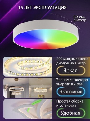 Накладной светильник Natali Kovaltseva MODERN LED LAMPS 81105/2C в Воткинске - votkinsk.ok-mebel.com | фото 6