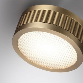Накладной светильник Odeon Light Manchester 7013/7CL в Воткинске - votkinsk.ok-mebel.com | фото 5