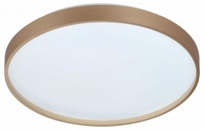 Накладной светильник Sonex Gaby 7783/DL в Воткинске - votkinsk.ok-mebel.com | фото 4