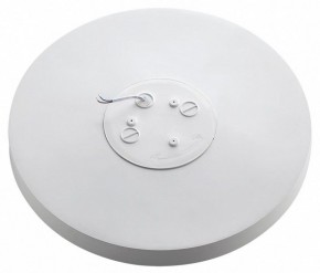 Накладной светильник Sonex Gamma 7759/50L в Воткинске - votkinsk.ok-mebel.com | фото 6