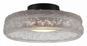 Накладной светильник ST-Luce ANTIKE SL6143.402.01 в Воткинске - votkinsk.ok-mebel.com | фото 2