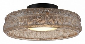 Накладной светильник ST-Luce ANTIKE SL6143.422.01 в Воткинске - votkinsk.ok-mebel.com | фото 3