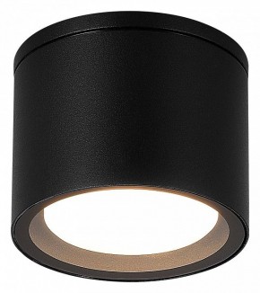 Накладной светильник ST-Luce Tubo SL9006.402.01 в Воткинске - votkinsk.ok-mebel.com | фото 2