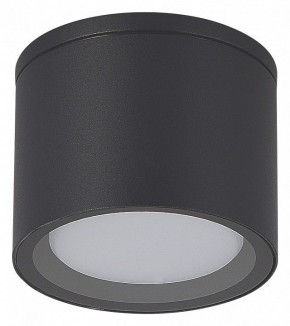 Накладной светильник ST-Luce Tubo SL9006.702.01 в Воткинске - votkinsk.ok-mebel.com | фото