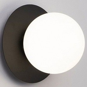 Накладной светильник TopDecor Ringo Ringo A1 12 в Воткинске - votkinsk.ok-mebel.com | фото