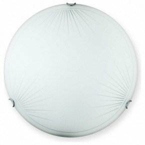 Накладной светильник TopLight Wifa TL9142Y-00WH в Воткинске - votkinsk.ok-mebel.com | фото