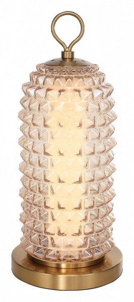 Настольная лампа декоративная ST-Luce SAGUARO SL6144.304.01 в Воткинске - votkinsk.ok-mebel.com | фото 2
