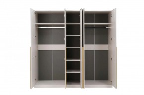 НИКОЛЬ 25 Шкаф 5-ти створчатый в Воткинске - votkinsk.ok-mebel.com | фото 3