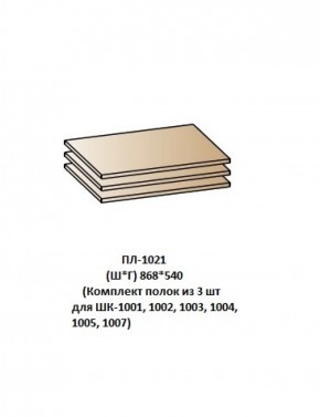 ПЛ-1021 (Комплект полок из 3 шт для ШК-1001, 1002, 1003, 1004, 1005, 1007) в Воткинске - votkinsk.ok-mebel.com | фото