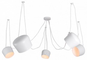 Подвесная люстра Lussole Shirley LSP-8175 в Воткинске - votkinsk.ok-mebel.com | фото