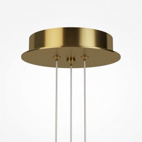 Подвесная люстра Maytoni Arana MOD401PL-L108BS3K в Воткинске - votkinsk.ok-mebel.com | фото 7