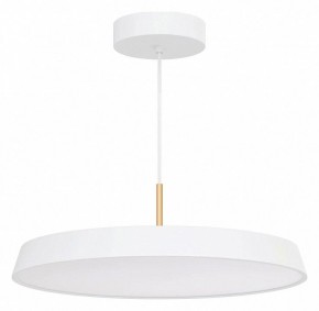 Подвесной светильник Arlight ELEGANT 033925(1) в Воткинске - votkinsk.ok-mebel.com | фото 2