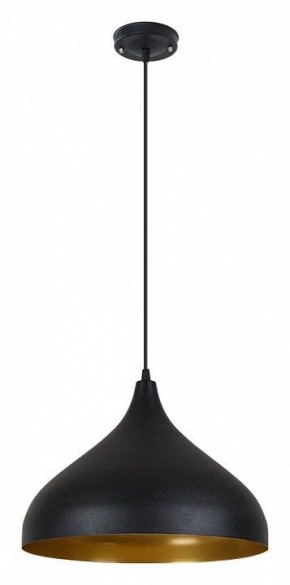 Подвесной светильник Arte Lamp Carmel A7076SP-1BK в Воткинске - votkinsk.ok-mebel.com | фото 2