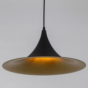 Подвесной светильник Arte Lamp Carmel A7080SP-1BK в Воткинске - votkinsk.ok-mebel.com | фото
