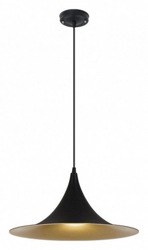 Подвесной светильник Arte Lamp Carmel A7080SP-1BK в Воткинске - votkinsk.ok-mebel.com | фото 2