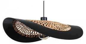 Подвесной светильник Arte Lamp Woodstock A7059SP-1BK в Воткинске - votkinsk.ok-mebel.com | фото