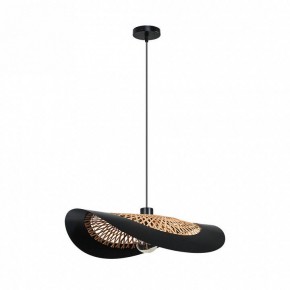 Подвесной светильник Arte Lamp Woodstock A7059SP-1BK в Воткинске - votkinsk.ok-mebel.com | фото 2