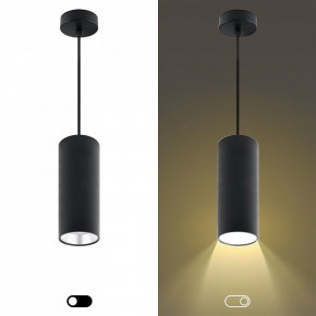 Подвесной светильник Эра  PL12 GX53 BK/SL в Воткинске - votkinsk.ok-mebel.com | фото 5