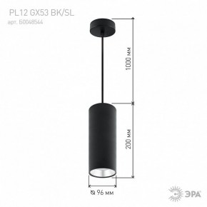 Подвесной светильник Эра  PL12 GX53 BK/SL в Воткинске - votkinsk.ok-mebel.com | фото 8
