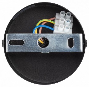 Подвесной светильник Эра  PL12 GX53 BK/SL в Воткинске - votkinsk.ok-mebel.com | фото 9