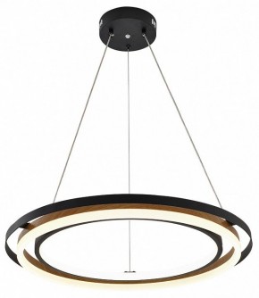 Подвесной светильник Escada Lagom 10248/2LED в Воткинске - votkinsk.ok-mebel.com | фото 3