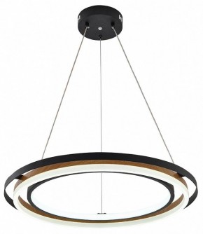 Подвесной светильник Escada Lagom 10248/2LED в Воткинске - votkinsk.ok-mebel.com | фото 4