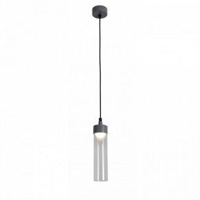 Подвесной светильник Favourite Outdoor 4703-1P в Воткинске - votkinsk.ok-mebel.com | фото 3