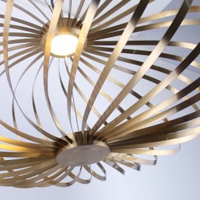 Подвесной светильник Favourite Spring 4680-1P в Воткинске - votkinsk.ok-mebel.com | фото 5
