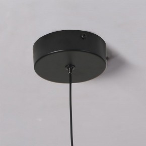Подвесной светильник Favourite Wilet 4656-1P в Воткинске - votkinsk.ok-mebel.com | фото 10