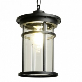 Подвесной светильник Feron PL765 51819 в Воткинске - votkinsk.ok-mebel.com | фото 3