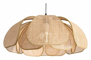 Подвесной светильник Freya Cocoon FR5529PL-01B в Воткинске - votkinsk.ok-mebel.com | фото