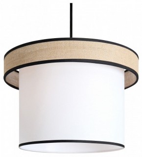 Подвесной светильник Freya Mixture FR5483PL-01B2 в Воткинске - votkinsk.ok-mebel.com | фото