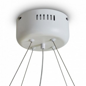 Подвесной светильник Freya Rain FR5546PL-L60W в Воткинске - votkinsk.ok-mebel.com | фото 9